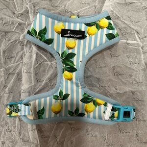 Cavology neoprene reversible dog harness